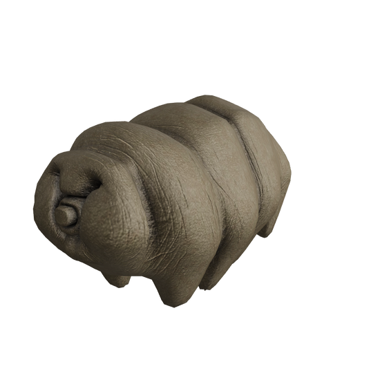 Tardigrades, often called water bears, belong to the phylum of eight-legged segmented micro-animals. These remarkable creatures have garnered attention due to their astonishing resilience. They possess the ability to endure extreme conditions, surviving both scorching heat up to 150°C and near-zero freezing temperatures.