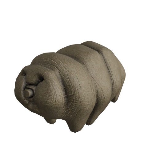 Tardigrades, often called water bears, belong to the phylum of eight-legged segmented micro-animals. These remarkable creatures have garnered attention due to their astonishing resilience. They possess the ability to endure extreme conditions, surviving both scorching heat up to 150°C and near-zero freezing temperatures.